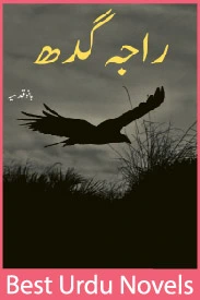 raja gidh novel by bano qudsia